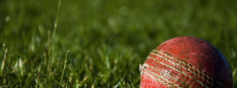 金光闪闪的世界杯冠军奖杯大力神杯特写